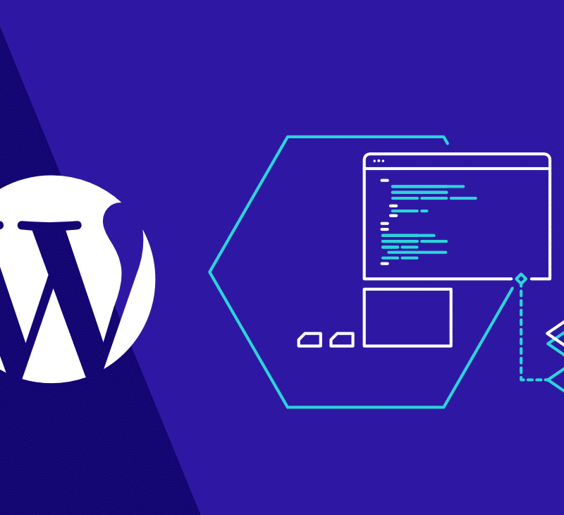 professional wordpress development service